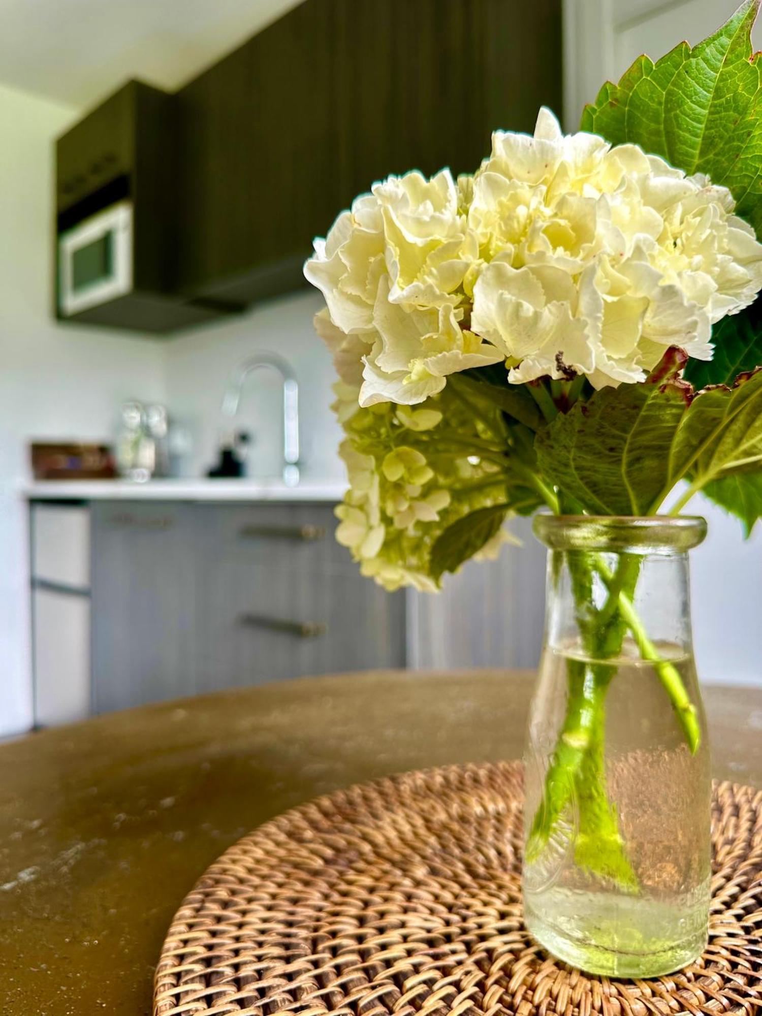 Matamata Country B&B Екстериор снимка